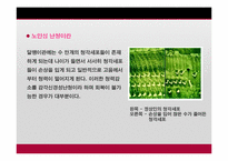 [노인정신건강] 노인 우울증 실태와 제언-8