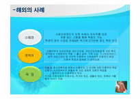 [정책론] 미혼모에 대한 지원 방안-12