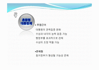 [한국정치] 한국 정치와 권력 구조에 관한 논쟁-17