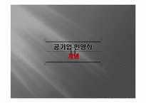 [행정학개론] 공기업 민영화의 문제점과 그에 대한 제언-3