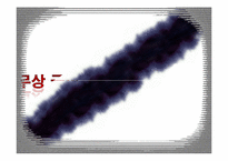 무상급식에 대한 찬반논란-1