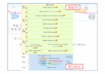 [신문방송학] 투니버스 특징적 방송 편성전략 실습-14