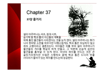 [영미소설 개론] Adventures of Huckleberry Finn(허클베리핀의 모험)-9