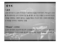 [영국소설과 문화] 더블린 사람들(Dubliners) 주인공 캐릭터 분석-5
