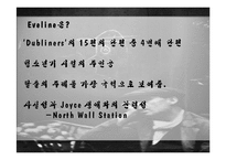 [영국소설과 문화] 더블린 사람들(Dubliners) 주인공 캐릭터 분석-19