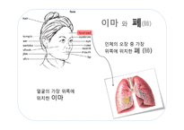 [영양학] 관상과 지압점을 통해 알아보는 영양간리와 다이어트 방법-6