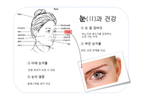 [영양학] 관상과 지압점을 통해 알아보는 영양간리와 다이어트 방법-7