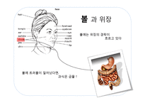 [영양학] 관상과 지압점을 통해 알아보는 영양간리와 다이어트 방법-8