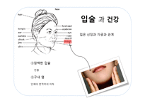 [영양학] 관상과 지압점을 통해 알아보는 영양간리와 다이어트 방법-10