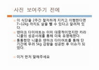 [영양학] 다이어트와 올바른 체중관리-18