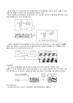 [화학공학] 식수의 경도측정(전경도, 칼슘경도) 실험-3