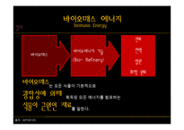 [전자 전파 공학] 신재생 바이오매스 에너지의 현황과 기대효과-4