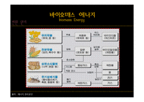 [전자 전파 공학] 신재생 바이오매스 에너지의 현황과 기대효과-6