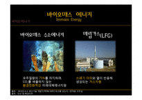 [전자 전파 공학] 신재생 바이오매스 에너지의 현황과 기대효과-9
