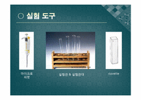 [화학공학] 단백질 정량 실험-8