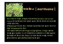 [화학과 생활] 마약(Narcotics)과 화학-10
