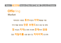 [사업계획서] 치아관련 의약외품 생산 및 마케팅 전략-9