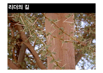 전략적 리더십의 유형과 사례 분석-3