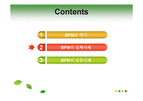 [비즈니스프로세스관리] 비즈니스 프로세스 관리 사례 분석-5