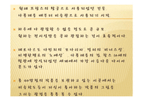 프랑스 관광지 레포트-12
