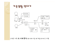 [가족복지론] 재혼가족-11