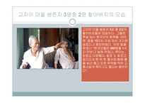 일본의 공개사과 요구에 관한 고찰-13