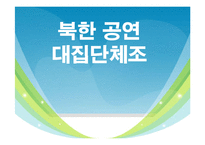 북한공연 대집단체조-1