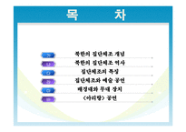 북한공연 대집단체조-2
