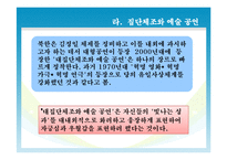 북한공연 대집단체조-6