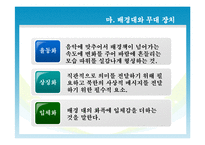 북한공연 대집단체조-8