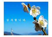 북한공연 대집단체조-11