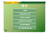 [체육과건강] 브라질 축구에 대한 연대의식-2