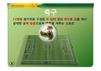 [체육과건강] 브라질 축구에 대한 연대의식-6