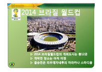 [체육과건강] 브라질 축구에 대한 연대의식-15
