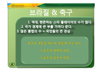 [체육과건강] 브라질 축구에 대한 연대의식-16