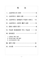 [소셜커머스] 소셜커머스 피해사례와 대처방안 보고서-2