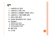 [소셜커머스] 소셜커머스 피해사례와 대처방안 PPT자료-2
