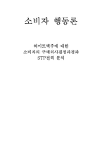 [소비자행동] 하이트맥주에 대한 소비자의 구매의사결정과정과 STP전력 분석-1