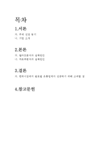 [경영학] 월마트와 까르푸의 국내시장 실패사례-2