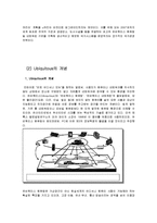 [경영정보] Ubiquitous 유비쿼터스 -RFID-3