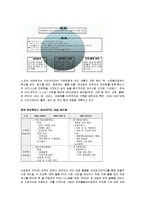 [경영정보] Ubiquitous 유비쿼터스 -RFID-17