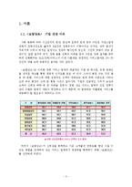 [서비스마케팅] 보람상조 컨설팅-3