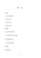 [국제경영](주) 홍진HJC 성공요인-2