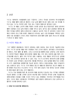 [국제경영](주) 홍진HJC 성공요인-16