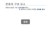 [국제경영학] 국제기업의 문화적 환경-4