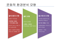 [국제경영학] 국제기업의 문화적 환경-11
