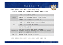 [관광학원론] 리조트업-12