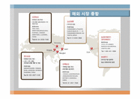 [국제경영] 신라면 경영전략-14