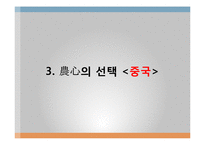 [국제경영] 신라면 경영전략-16