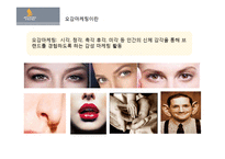 싱가포르 항공의 오감마케팅-4